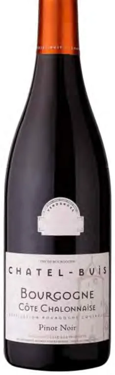 Flaske: Châtel-Buis Bourgogne Pinot Noir